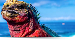 Viaggi organizzati in Perù e Bolivia, Tour Combinati Machu Picchu e Uyuni